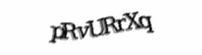 Security check image, please type the characters shown